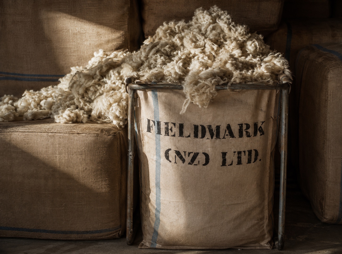 Raw New Zealand fleece overflowing a shearing-shed fadge stencilled FIELDMARK (NZ) LTD, before pressing into bales for scouring